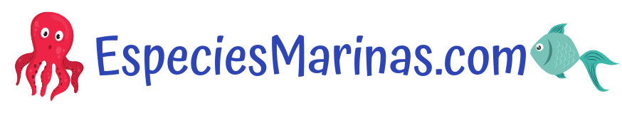 Especies Marinas